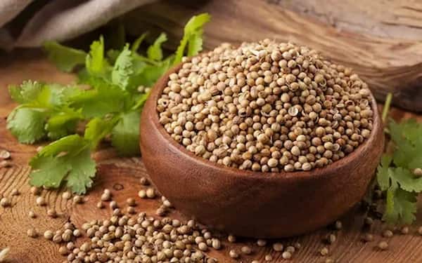 تصویر 1 از قیمت خرید تخم گشنیز ادویه با فروش عمده
